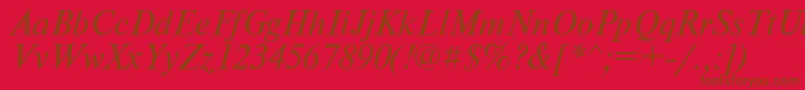 PtNewtonItalicCyrillic Font – Brown Fonts on Red Background