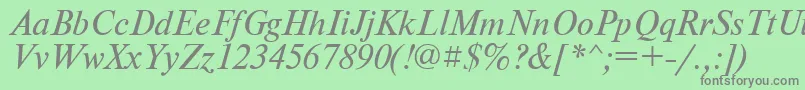 PtNewtonItalicCyrillic Font – Gray Fonts on Green Background