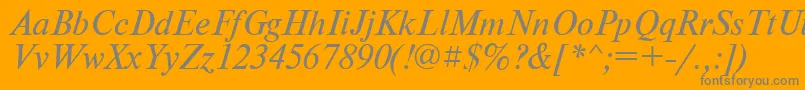 PtNewtonItalicCyrillic Font – Gray Fonts on Orange Background