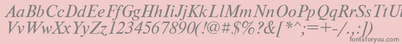 PtNewtonItalicCyrillic Font – Gray Fonts on Pink Background