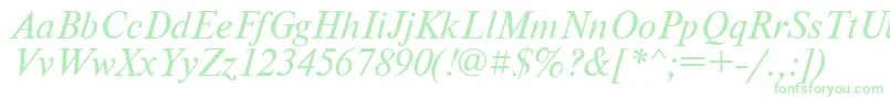 PtNewtonItalicCyrillic Font – Green Fonts