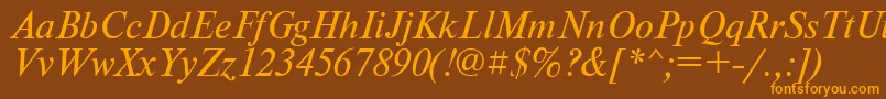 PtNewtonItalicCyrillic Font – Orange Fonts on Brown Background