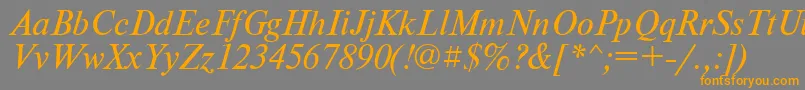 PtNewtonItalicCyrillic Font – Orange Fonts on Gray Background