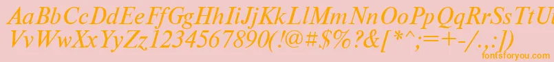 PtNewtonItalicCyrillic Font – Orange Fonts on Pink Background