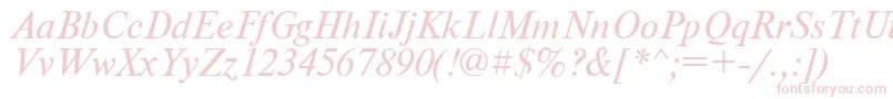 PtNewtonItalicCyrillic Font – Pink Fonts