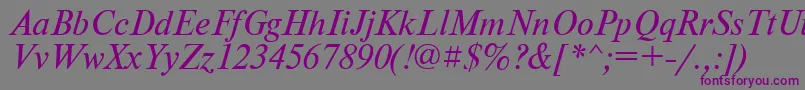 PtNewtonItalicCyrillic Font – Purple Fonts on Gray Background