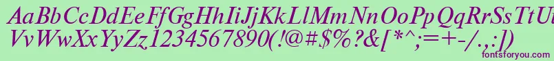 PtNewtonItalicCyrillic Font – Purple Fonts on Green Background