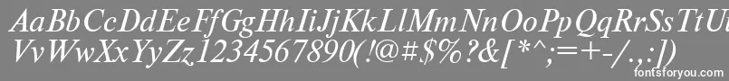 PtNewtonItalicCyrillic Font – White Fonts on Gray Background