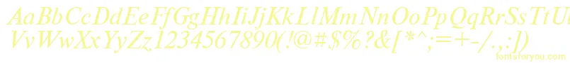 PtNewtonItalicCyrillic Font – Yellow Fonts