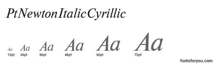 Размеры шрифта PtNewtonItalicCyrillic