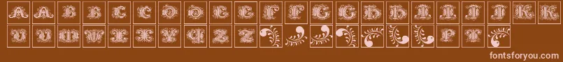 Silvestreinitialssquares Font – Pink Fonts on Brown Background