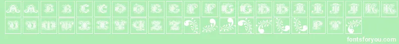 Silvestreinitialssquares Font – White Fonts on Green Background
