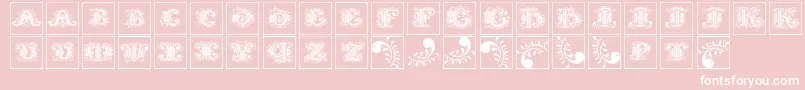 Silvestreinitialssquares Font – White Fonts on Pink Background