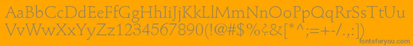 StempelschneidlerstdLight Font – Gray Fonts on Orange Background