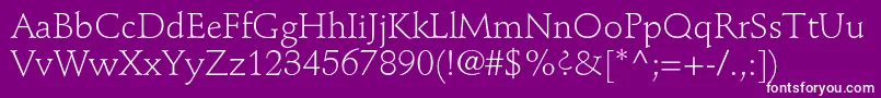 StempelschneidlerstdLight Font – White Fonts on Purple Background