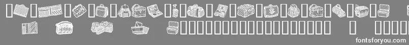 BagsAndStuff Font – White Fonts on Gray Background