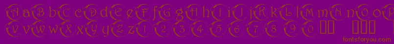 101StarLitNght Font – Brown Fonts on Purple Background