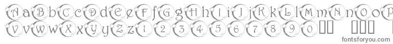 フォント101StarLitNght – 白い背景に灰色の文字