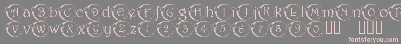 フォント101StarLitNght – 灰色の背景にピンクのフォント