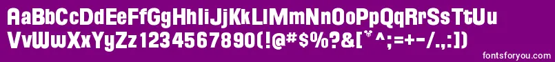 FloridaProjectPhaseOne Font – White Fonts on Purple Background