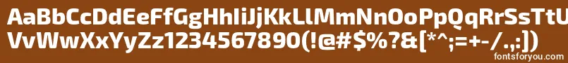 フォントExo2Extrabold – 茶色の背景に白い文字