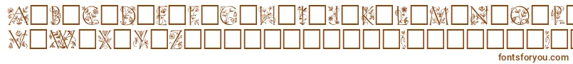 Trellis Font – Brown Fonts on White Background