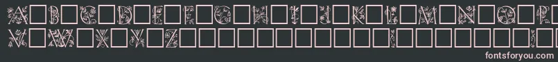 Trellis Font – Pink Fonts on Black Background