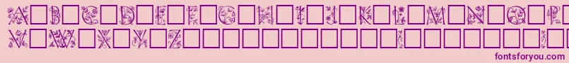 Trellis Font – Purple Fonts on Pink Background