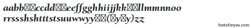 フォントBerkeleystdBlackitalic – ハウスフォント