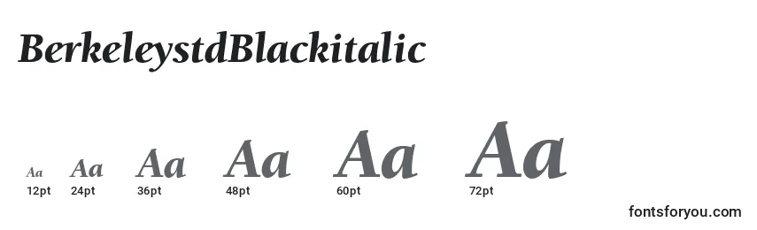 BerkeleystdBlackitalic Font Sizes
