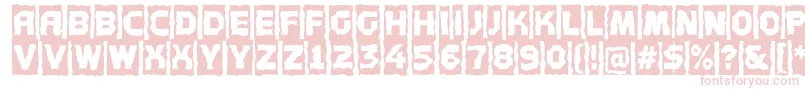 Concep5 Font – Pink Fonts