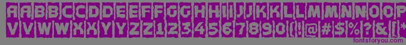 Concep5-Schriftart – Violette Schriften auf grauem Hintergrund