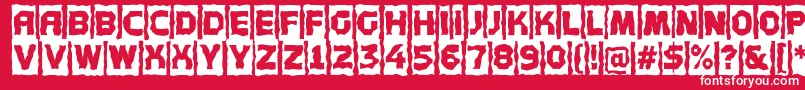 Concep5 Font – White Fonts on Red Background