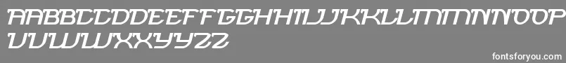 BrigadeArmy Font – White Fonts on Gray Background