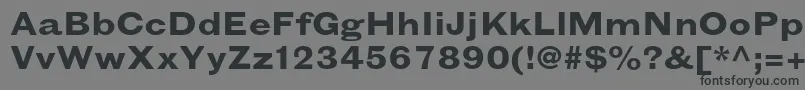 GrotesquemtstdBoldextended Font – Black Fonts on Gray Background
