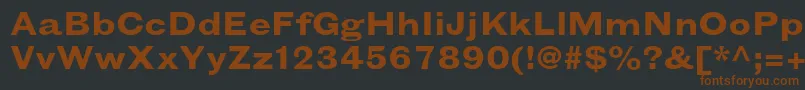 GrotesquemtstdBoldextended Font – Brown Fonts on Black Background