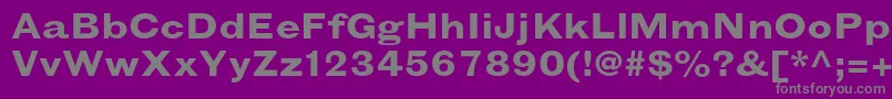 GrotesquemtstdBoldextended Font – Gray Fonts on Purple Background