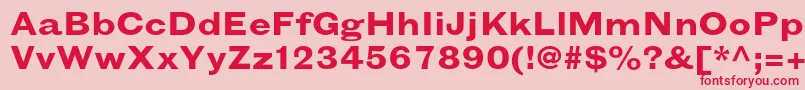 GrotesquemtstdBoldextended Font – Red Fonts on Pink Background