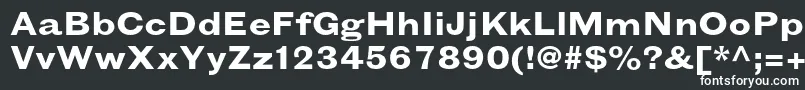 GrotesquemtstdBoldextended Font – White Fonts on Black Background