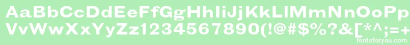 GrotesquemtstdBoldextended Font – White Fonts on Green Background