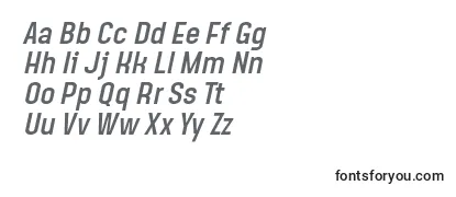 SteagislerItalic Font