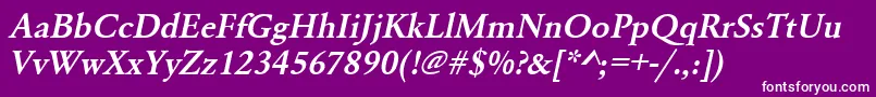 UrwgaramondtdemOblique Font – White Fonts on Purple Background