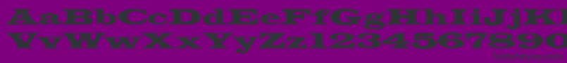 フォントJamesWide – 紫の背景に黒い文字