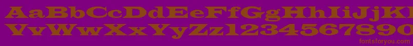 JamesWide-fontti – ruskeat fontit violetilla taustalla
