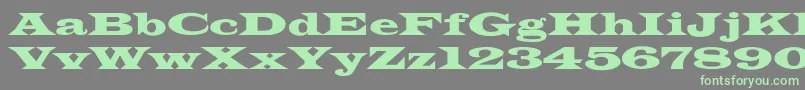 Fonte JamesWide – fontes verdes em um fundo cinza