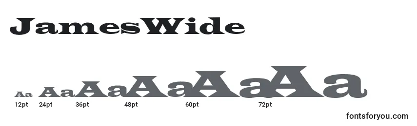 JamesWide Font Sizes