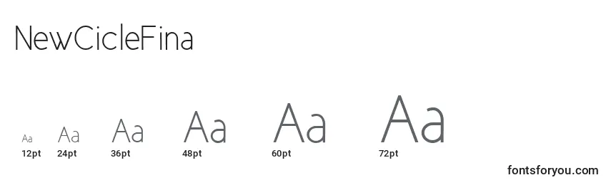 NewCicleFina Font Sizes