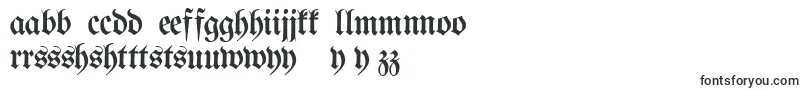 フォントProclamateLightLight – ハウスフォント