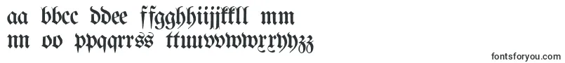 ProclamateLightLight Font – Polish Fonts