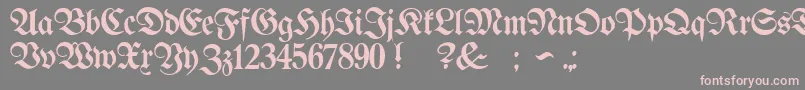 ProclamateLightLight Font – Pink Fonts on Gray Background